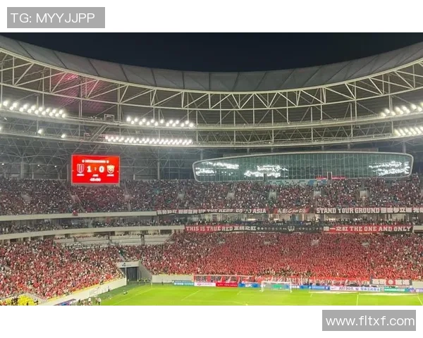 杭州排球队以90分领跑精英赛积分榜展现强大实力 杭州排球队以90分领跑精英赛积分榜展现强大实力