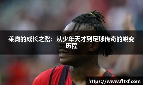 K1体育官方网站