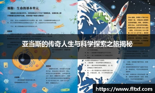 k1体育官网