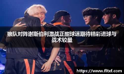 狼队对阵谢斯伯利激战正酣球迷期待精彩进球与战术较量